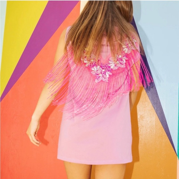 QUEEN OF SPARKLES Dresses & Skirts - Queen of Sparkles Pink Hoodie Dress with Fringe